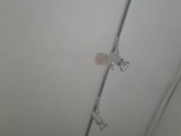 /album/trabajos/a392641-188149614610759-1265619992-n-jpg/